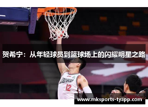 贺希宁：从年轻球员到篮球场上的闪耀明星之路